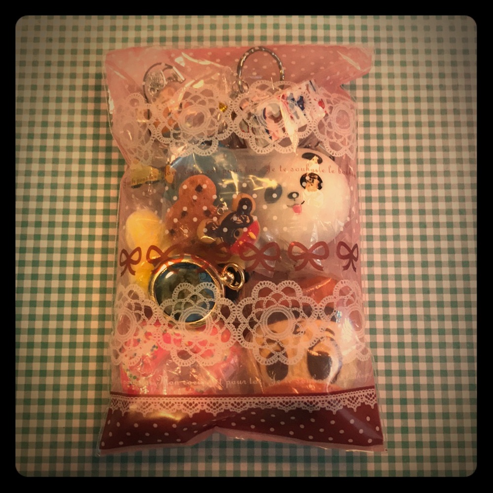 Adorable mystery bag! 🎀🛍